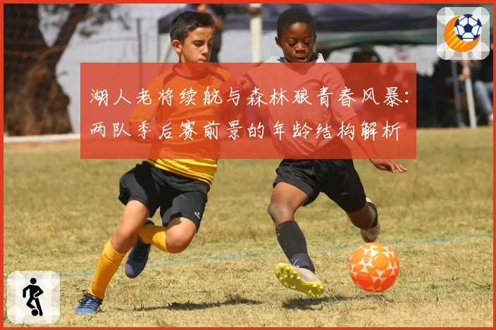 湖人老将续航与森林狼青春风暴：两队季后赛前景的年龄结构解析