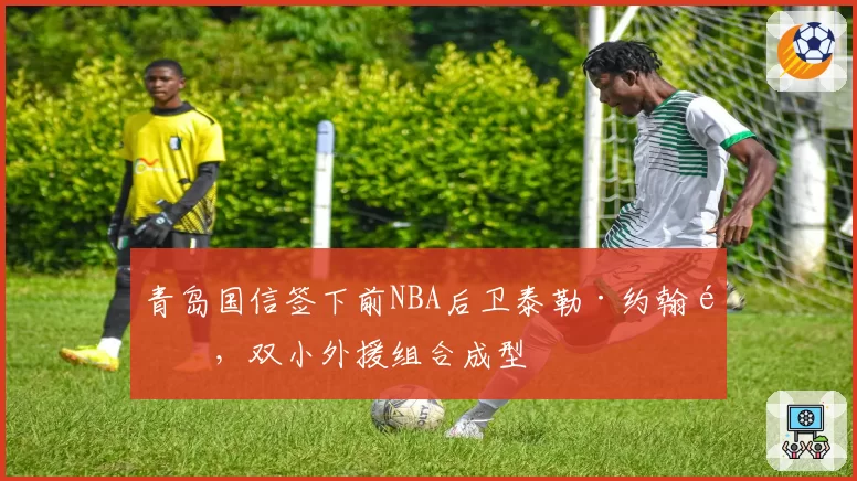青岛国信签下前NBA后卫泰勒·约翰逊,双小外援组合成型