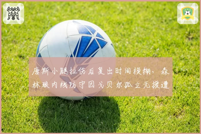 唐斯小腿拉伤后复出时间模糊,森林狼内线防守因戈贝尔孤立无援遭质疑