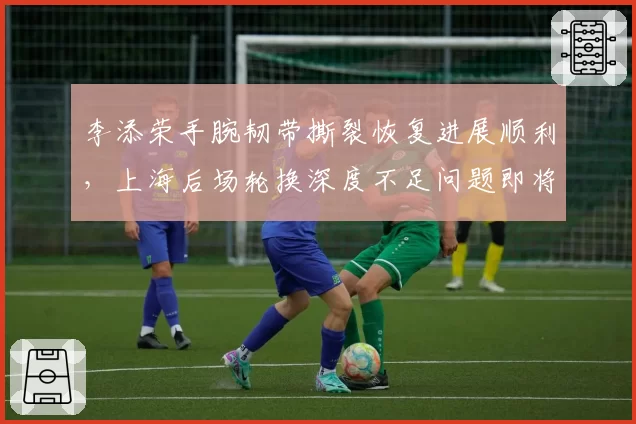 李添荣手腕韧带撕裂恢复进展顺利，上海后场轮换深度不足问题即将缓解