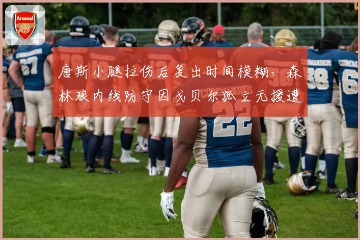 唐斯小腿拉伤后复出时间模糊,森林狼内线防守因戈贝尔孤立无援遭质疑