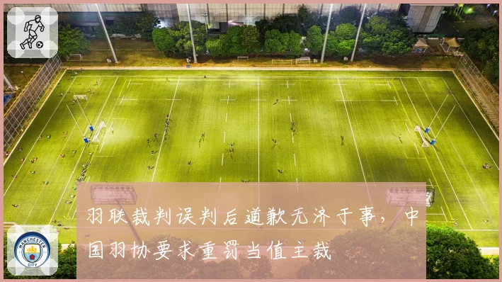 羽联裁判误判后道歉无济于事，中国羽协要求重罚当值主裁