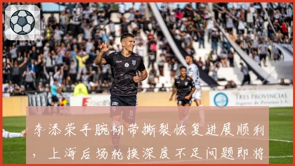 李添荣手腕韧带撕裂恢复进展顺利，上海后场轮换深度不足问题即将缓解